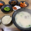 네코스테이 고양이마을 이미지