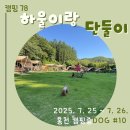 중독(DOG) | [78] 홍천 캠핑중dog 10번 사이트 여름 캠핑 후기
