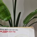 고객은왕약국 이미지