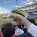 담양고등학교 | 터미널 근처 [프랭크버거 전남담양점] 담양 햄버거 맛집 포장 후기