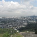 청기화집