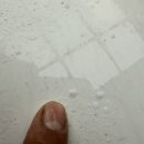 종합광택 이미지