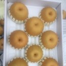 미건농장 이미지