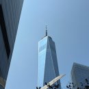 고수초등학교 | 담지의 뉴욕뉴욕(aka. 허니문)(13)