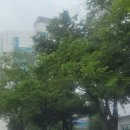 예술로 152번길 이미지