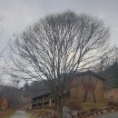 청주 상당산성자연휴양림 &#39;굴피나무&#39;동 후기