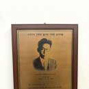 양평곤충박물관 이미지