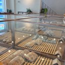 밀로베이커리 이미지