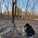 좋은나무숲유치원 | 아기랑 단풍놀이하기 좋은 곳 하남 나무고아원 숲놀이터 재방문 후기