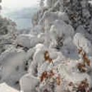 하단동011 이미지