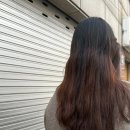 스마일헤어 네이버블로그