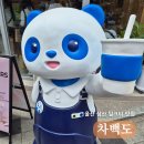울산 삼산 차백도 망고포멜로사고 타로볼밀크티 후기