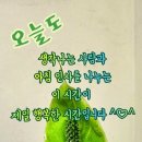 ♤오늘도 좋은날♧ 이미지