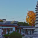 청산사