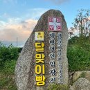 달맞이빵 베이커리