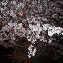 창원대로 이미지