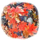 언양시장 이미지