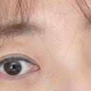 제이롤리 이미지