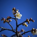 충무공파출소 이미지