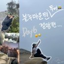 마운틴 투어 절망편 - 시드니 아트갤러리, 세인트마리대성당, 파이브가이즈, 블루마운틴투어 내돈내산 후기