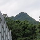 예구마을 진입로 부근 (양측) | 서울둘레길 8-4구간(순례길, 소나무숲길)-순례길의 독립유공자 묘역에서 조상들의 애국심을, 소나무숲길...