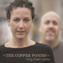 The Copper Ponies-Why Worry (2013) 이미지