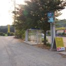 청화오리 이미지