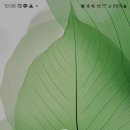 염광의원 이미지