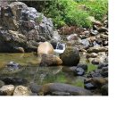 비슬산휴양림관리사무소 이미지