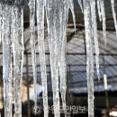 분당초등학교 이미지