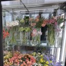 대지고등학교 | [쏠레이] 죽전동꽃집/용인 죽전 졸업 꽃다발 추천/한송이 꽃다발