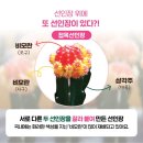 효자로(K) 이미지