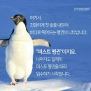 퍼스트펭귄