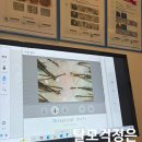 리메디칼 | 쌍용동 두피 힐링 l 두피가 숨 쉬는 느낌, 찰스 리 헤어 테크 두피 스파 솔직 후기✨