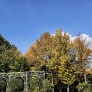 중원-72 | [성남시 식물원] 아이와함께 즐기는 힐링 산책, 성남가볼만한곳 숲놀이터