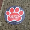 (재)부산정보산업진흥원 | 부산 전시회 제 8회 부산 글로벌 웹툰 페스티벌 방문 후기 + 주차정보