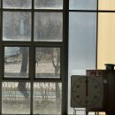 배미수영장 | 아산 배미수영장 자유수영 후기