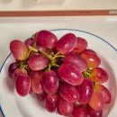 미성농산 - 18679 | [농라/농라에프] 미성농산 에르메스 포도 소평홍 구매후기