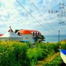 아라돔하우스 이미지