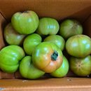 윤슬농장 이미지