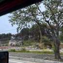 송림315 | 송림315｜무게, 견종 제한 없는 애견독채펜션 후기