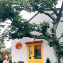 대흘소공원 네이버블로그