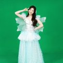 비밀요정