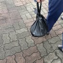 화북신안 | 화북신안식당존맛탱, 삼화다온제과,삼화지구셀독24스터디카페전광수커피까지/내돈내산후기