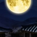 이비스 스타일 앰배서더 서울 명동 이미지