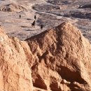 최신영화 리바운드 | 보통의 가족의 원작정보와 위키드 개봉후 박스오피스 1위 흥행질주!!!