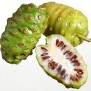 노니 필라테스 이미지