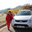 화개농원 이미지