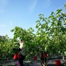 덕이농장 이미지