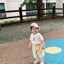 도남1공원 Daum카페